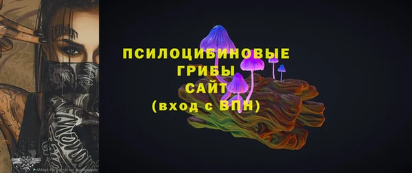 гидра Дмитров
