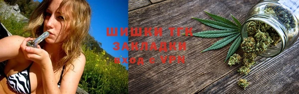 гидра Дмитров