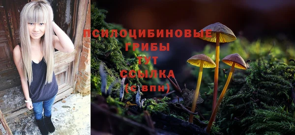 ALPHA PVP Дмитровск