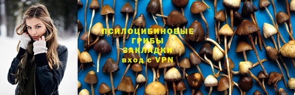 гидра Дмитров