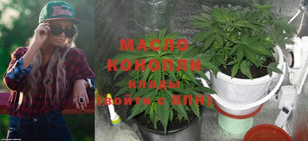 стафф Дмитриев