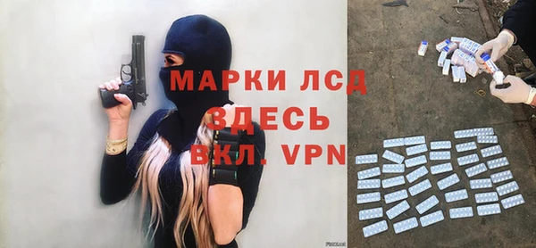 стафф Дмитриев