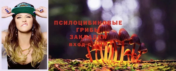 стафф Дмитриев