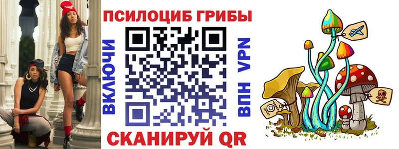 Галлюциногенные грибы Magic Shrooms  Будённовск 